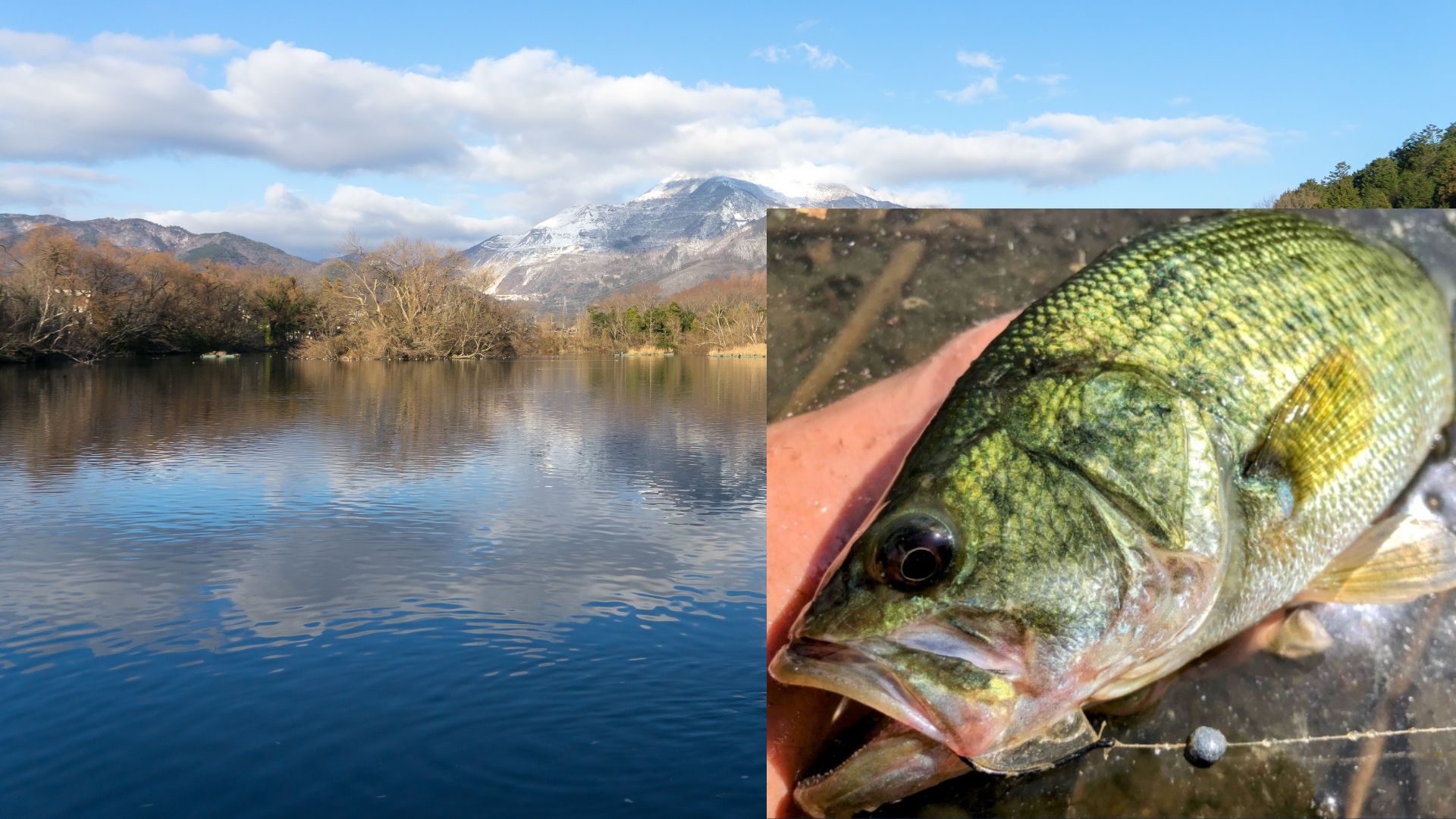 冬のブラックバス釣り